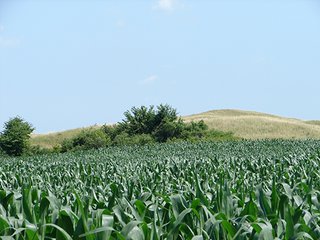 Property photo 47 - NEBRASKA LAND AUCTION - 723+/- ACRES OFFERED IN 5 TRACTS IN HOWARD COUNTY, NEBRASKA