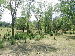 Tract 3 - NEBRASKA LAND AUCTION - 723+/- ACRES OFFERED IN 5 TRACTS IN HOWARD COUNTY, NEBRASKA
