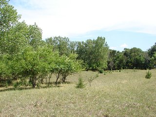 Property photo 27 - NEBRASKA LAND AUCTION - 723+/- ACRES OFFERED IN 5 TRACTS IN HOWARD COUNTY, NEBRASKA