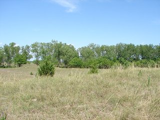 Property photo 19 - NEBRASKA LAND AUCTION - 723+/- ACRES OFFERED IN 5 TRACTS IN HOWARD COUNTY, NEBRASKA