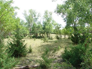 Property photo 30 - NEBRASKA LAND AUCTION - 723+/- ACRES OFFERED IN 5 TRACTS IN HOWARD COUNTY, NEBRASKA