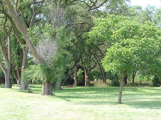 Property photo 40 - NEBRASKA LAND AUCTION - 723+/- ACRES OFFERED IN 5 TRACTS IN HOWARD COUNTY, NEBRASKA