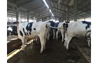 Property photo 77 - *** Accepted Offer. Auction Cancelled *** - COMPLETE DAIRY DISPERSAL FARM EQUIPMENT & CATTLE AUCTION IN VAN WERT COUNTIES, OHIO
