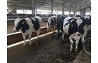 Property photo 81 - *** Accepted Offer. Auction Cancelled *** - COMPLETE DAIRY DISPERSAL FARM EQUIPMENT & CATTLE AUCTION IN VAN WERT COUNTIES, OHIO