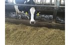 Property photo 70 - *** Accepted Offer. Auction Cancelled *** - COMPLETE DAIRY DISPERSAL FARM EQUIPMENT & CATTLE AUCTION IN VAN WERT COUNTIES, OHIO