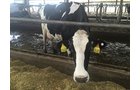Property photo 66 - *** Accepted Offer. Auction Cancelled *** - COMPLETE DAIRY DISPERSAL FARM EQUIPMENT & CATTLE AUCTION IN VAN WERT COUNTIES, OHIO