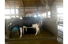 Property photo 72 - *** Accepted Offer. Auction Cancelled *** - COMPLETE DAIRY DISPERSAL FARM EQUIPMENT & CATTLE AUCTION IN VAN WERT COUNTIES, OHIO