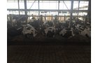 Property photo 73 - *** Accepted Offer. Auction Cancelled *** - COMPLETE DAIRY DISPERSAL FARM EQUIPMENT & CATTLE AUCTION IN VAN WERT COUNTIES, OHIO