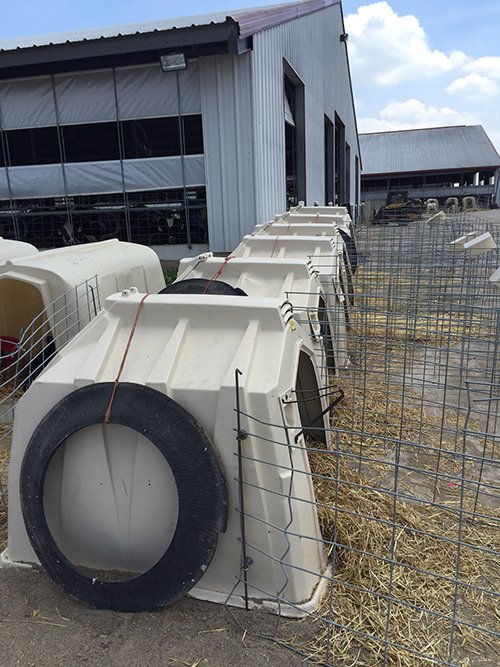 Property photo 14 - *** Accepted Offer. Auction Cancelled *** - COMPLETE DAIRY DISPERSAL FARM EQUIPMENT & CATTLE AUCTION IN VAN WERT COUNTIES, OHIO