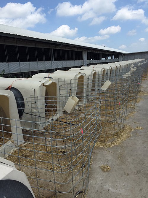 Property photo 13 - *** Accepted Offer. Auction Cancelled *** - COMPLETE DAIRY DISPERSAL FARM EQUIPMENT & CATTLE AUCTION IN VAN WERT COUNTIES, OHIO