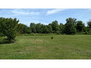Property photo 3 - REAL ESTATE AUCTION - 58+/- ACRES OFFERED IN 4 TRACTS IN HENRY COUNTY, INDIANA