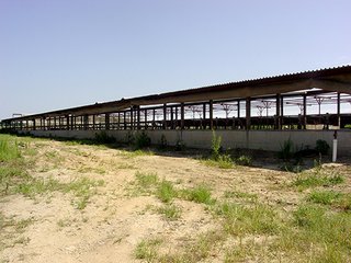 Property photo 4 - REAL ESTATE & FARM EQUIPMENT AUCTION - 23.522+/- ACRES IN 2 TRACTS IN WHITE COUNTY, INDIANA