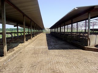Property photo 9 - REAL ESTATE & FARM EQUIPMENT AUCTION - 23.522+/- ACRES IN 2 TRACTS IN WHITE COUNTY, INDIANA