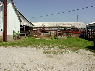 Property photo 5 - REAL ESTATE & FARM EQUIPMENT AUCTION - 23.522+/- ACRES IN 2 TRACTS IN WHITE COUNTY, INDIANA