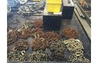 Property photo 90 - EQUIPMENT & INVENTORY REDUCTION AUCTION IN ELKHART CO., INDIANA