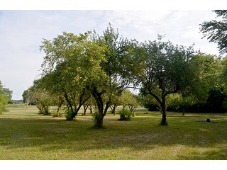 Property photo 12 - REAL ESTATE AUCTION - 15+/- ACRES IN 2 TRACTS IN ALLEN COUNTY, INDIANA