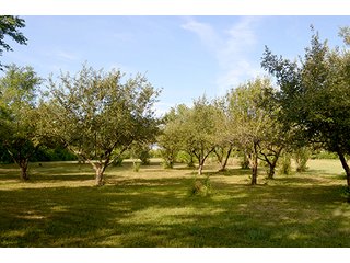 Property photo 11 - REAL ESTATE AUCTION - 15+/- ACRES IN 2 TRACTS IN ALLEN COUNTY, INDIANA