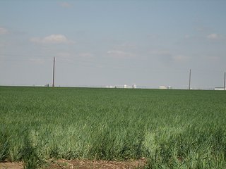 Property photo 56 - IRRIGATED LAND AUCTION - 12,160+/- ACRES OFFERED IN 12 TRACTS IN HARTLEY & MOORE COUNTY, TEXAS
