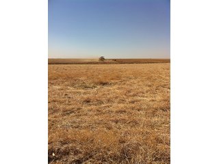Property photo 81 - IRRIGATED LAND AUCTION - 12,160+/- ACRES OFFERED IN 12 TRACTS IN HARTLEY & MOORE COUNTY, TEXAS