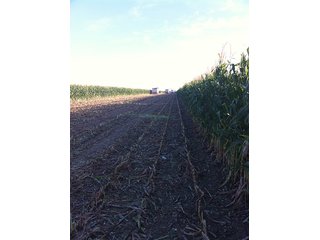 Property photo 69 - IRRIGATED LAND AUCTION - 12,160+/- ACRES OFFERED IN 12 TRACTS IN HARTLEY & MOORE COUNTY, TEXAS