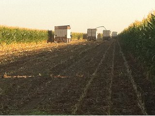 Property photo 35 - IRRIGATED LAND AUCTION - 12,160+/- ACRES OFFERED IN 12 TRACTS IN HARTLEY & MOORE COUNTY, TEXAS