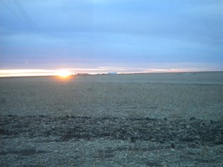 Property photo 75 - IRRIGATED LAND AUCTION - 12,160+/- ACRES OFFERED IN 12 TRACTS IN HARTLEY & MOORE COUNTY, TEXAS