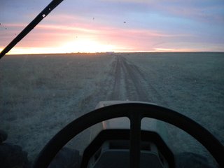 Property photo 32 - IRRIGATED LAND AUCTION - 12,160+/- ACRES OFFERED IN 12 TRACTS IN HARTLEY & MOORE COUNTY, TEXAS