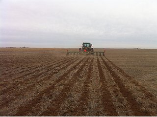 Property photo 44 - IRRIGATED LAND AUCTION - 12,160+/- ACRES OFFERED IN 12 TRACTS IN HARTLEY & MOORE COUNTY, TEXAS