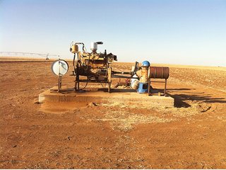Property photo 54 - IRRIGATED LAND AUCTION - 12,160+/- ACRES OFFERED IN 12 TRACTS IN HARTLEY & MOORE COUNTY, TEXAS