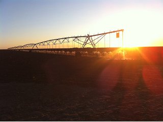 Property photo 19 - IRRIGATED LAND AUCTION - 12,160+/- ACRES OFFERED IN 12 TRACTS IN HARTLEY & MOORE COUNTY, TEXAS