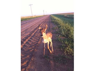 Property photo 55 - IRRIGATED LAND AUCTION - 12,160+/- ACRES OFFERED IN 12 TRACTS IN HARTLEY & MOORE COUNTY, TEXAS