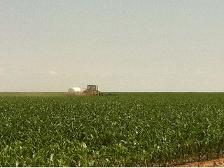 Property photo 6 - IRRIGATED LAND AUCTION - 12,160+/- ACRES OFFERED IN 12 TRACTS IN HARTLEY & MOORE COUNTY, TEXAS