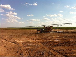 Property photo 13 - IRRIGATED LAND AUCTION - 12,160+/- ACRES OFFERED IN 12 TRACTS IN HARTLEY & MOORE COUNTY, TEXAS