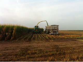 Property photo 68 - IRRIGATED LAND AUCTION - 12,160+/- ACRES OFFERED IN 12 TRACTS IN HARTLEY & MOORE COUNTY, TEXAS