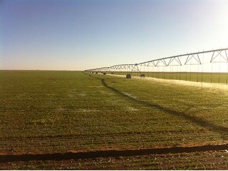 Property photo 85 - IRRIGATED LAND AUCTION - 12,160+/- ACRES OFFERED IN 12 TRACTS IN HARTLEY & MOORE COUNTY, TEXAS