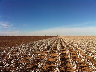 Property photo 73 - IRRIGATED LAND AUCTION - 12,160+/- ACRES OFFERED IN 12 TRACTS IN HARTLEY & MOORE COUNTY, TEXAS