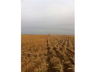 Property photo 80 - IRRIGATED LAND AUCTION - 12,160+/- ACRES OFFERED IN 12 TRACTS IN HARTLEY & MOORE COUNTY, TEXAS
