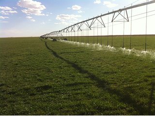 Property photo 49 - IRRIGATED LAND AUCTION - 12,160+/- ACRES OFFERED IN 12 TRACTS IN HARTLEY & MOORE COUNTY, TEXAS