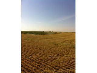 Property photo 48 - IRRIGATED LAND AUCTION - 12,160+/- ACRES OFFERED IN 12 TRACTS IN HARTLEY & MOORE COUNTY, TEXAS