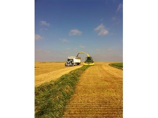 Property photo 18 - IRRIGATED LAND AUCTION - 12,160+/- ACRES OFFERED IN 12 TRACTS IN HARTLEY & MOORE COUNTY, TEXAS