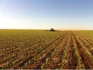 Property photo 7 - IRRIGATED LAND AUCTION - 12,160+/- ACRES OFFERED IN 12 TRACTS IN HARTLEY & MOORE COUNTY, TEXAS