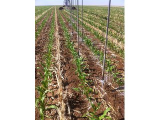 Property photo 82 - IRRIGATED LAND AUCTION - 12,160+/- ACRES OFFERED IN 12 TRACTS IN HARTLEY & MOORE COUNTY, TEXAS