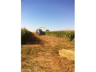 Property photo 64 - IRRIGATED LAND AUCTION - 12,160+/- ACRES OFFERED IN 12 TRACTS IN HARTLEY & MOORE COUNTY, TEXAS