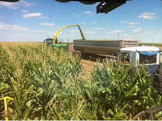 Property photo 51 - IRRIGATED LAND AUCTION - 12,160+/- ACRES OFFERED IN 12 TRACTS IN HARTLEY & MOORE COUNTY, TEXAS