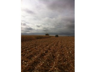 Property photo 89 - IRRIGATED LAND AUCTION - 12,160+/- ACRES OFFERED IN 12 TRACTS IN HARTLEY & MOORE COUNTY, TEXAS