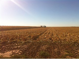 Property photo 31 - IRRIGATED LAND AUCTION - 12,160+/- ACRES OFFERED IN 12 TRACTS IN HARTLEY & MOORE COUNTY, TEXAS