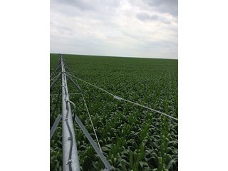 Property photo 86 - IRRIGATED LAND AUCTION - 12,160+/- ACRES OFFERED IN 12 TRACTS IN HARTLEY & MOORE COUNTY, TEXAS