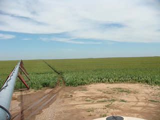 Property photo 26 - IRRIGATED LAND AUCTION - 12,160+/- ACRES OFFERED IN 12 TRACTS IN HARTLEY & MOORE COUNTY, TEXAS