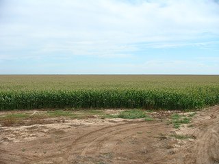 Property photo 67 - IRRIGATED LAND AUCTION - 12,160+/- ACRES OFFERED IN 12 TRACTS IN HARTLEY & MOORE COUNTY, TEXAS