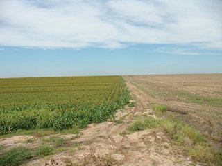 Property photo 52 - IRRIGATED LAND AUCTION - 12,160+/- ACRES OFFERED IN 12 TRACTS IN HARTLEY & MOORE COUNTY, TEXAS